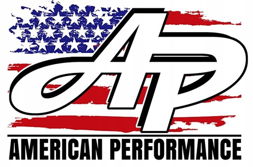 Filtr powietrza silnika American Performance 10315